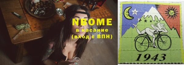 хмурый Гусь-Хрустальный