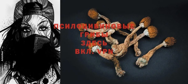 PSILOCYBIN Гусев