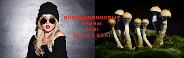 PSILOCYBIN Гусев