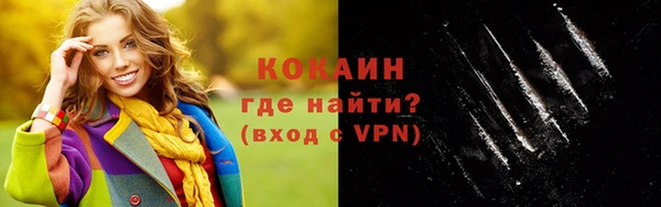 хмурый Гусь-Хрустальный