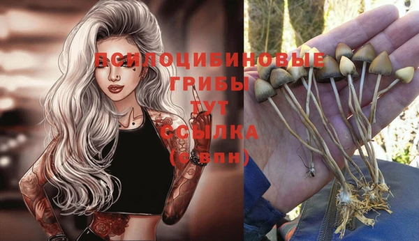 бутират Гусиноозёрск