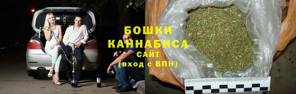PSILOCYBIN Гусев