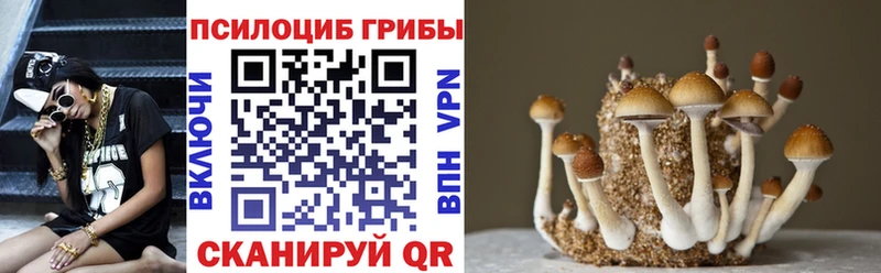 Галлюциногенные грибы мухоморы  Данилов 
